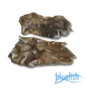 Bluefish : Paardenkophuidplaten (Pferdehautplatten)