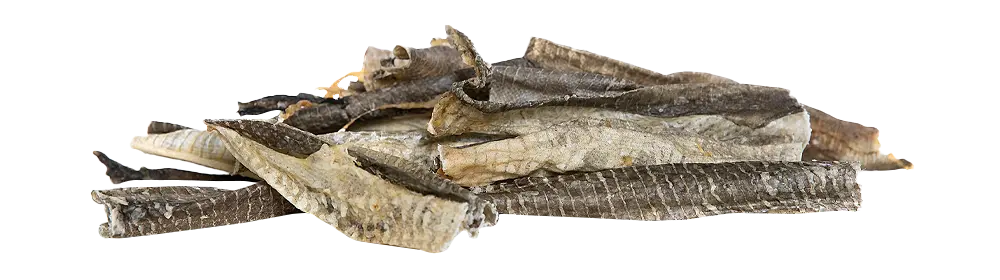 KIVO : Kabeljauw Gezaagd