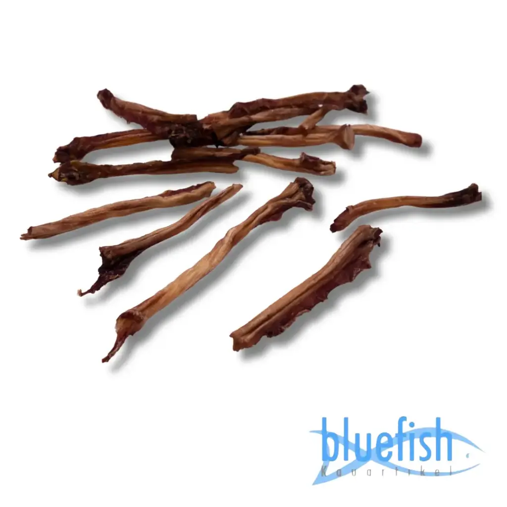 Bluefish : Ree Achillespezen (Reh-Achillessehnen)
