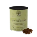 Essential Foods : Shake For A Rooaar - The Gentle Giant