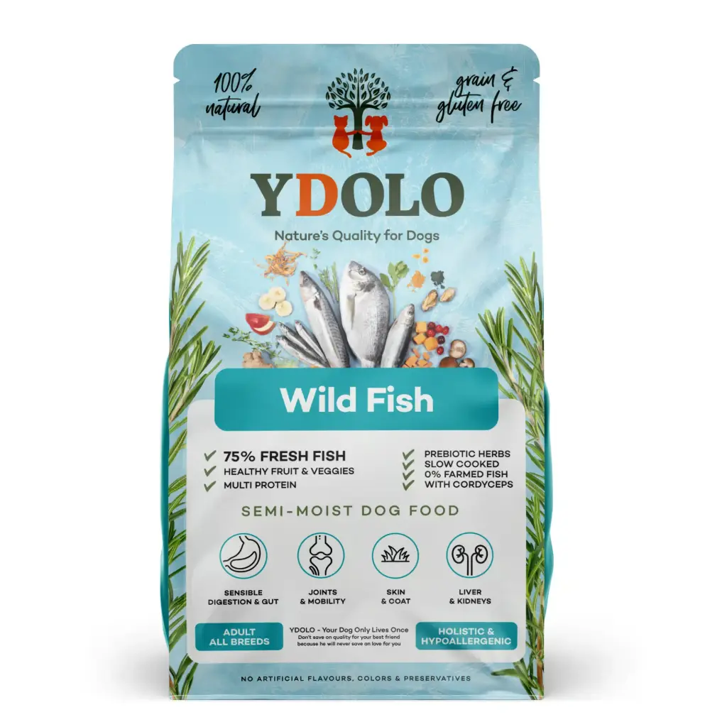 YDOLO : Healthy & Pure Wild Fish