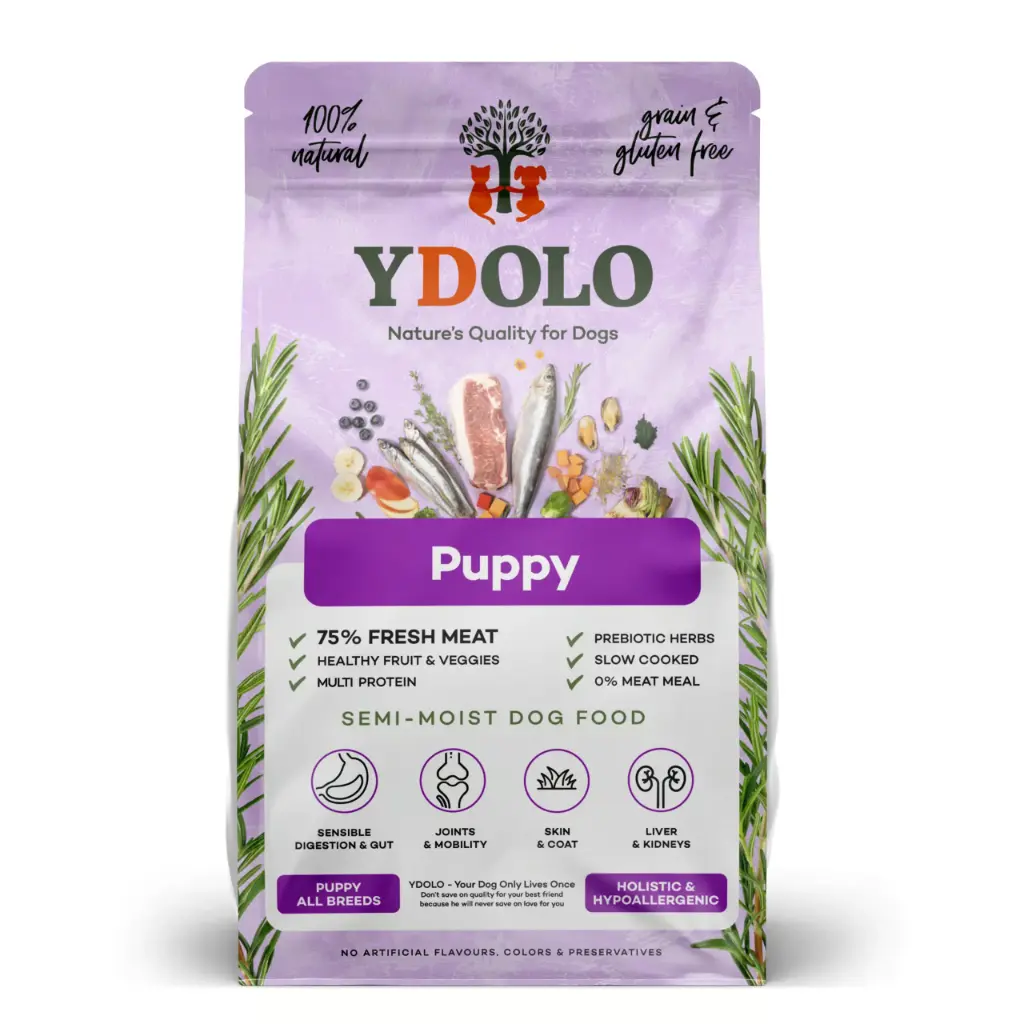 YDOLO : Healthy & Pure Puppy