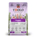 YDOLO : Healthy & Pure Puppy