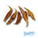 Bluefish : Tongetjes (Seezunge)