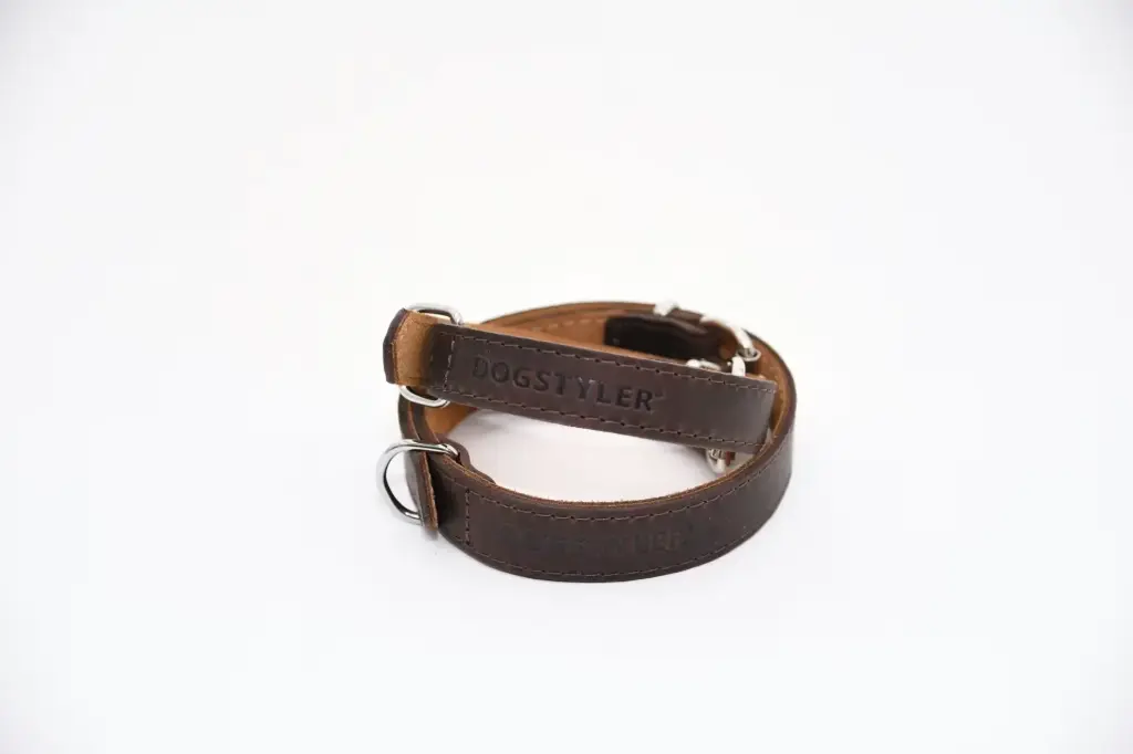 DOGSTYLER: Leather Collar Luis - Classic