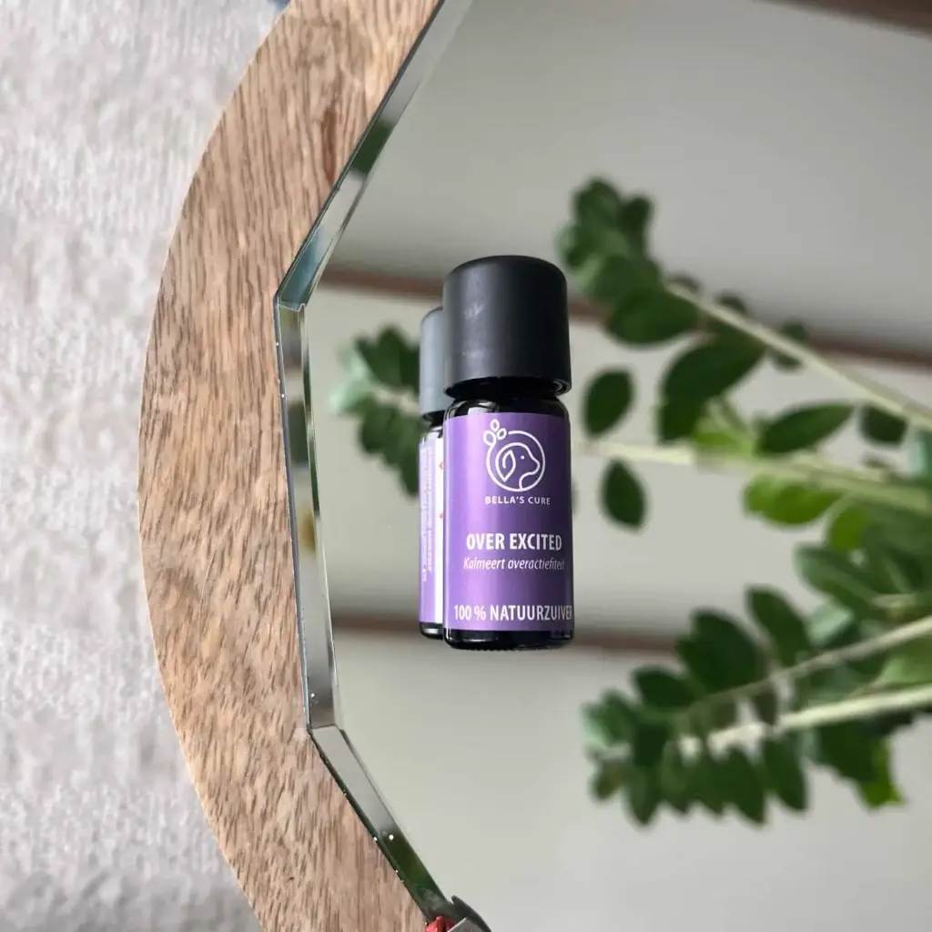 De Groene Linde : Bella's Cure - Over Excited