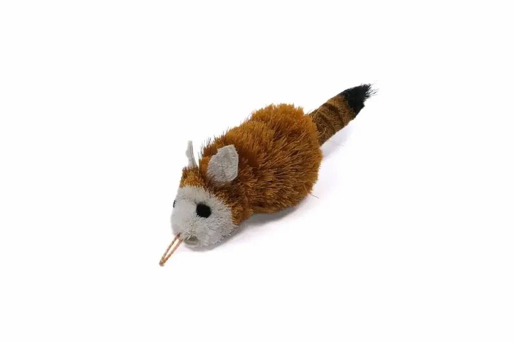 Tabby Tijger : Rode Panda