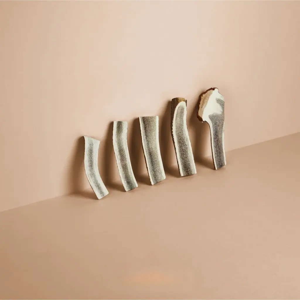 Happy Tails : Hertengewei Gehalveerd - M