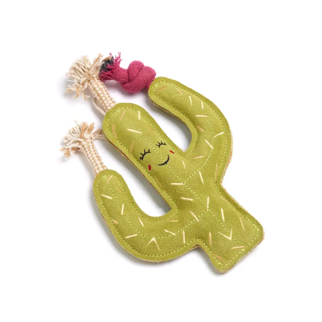 Green & Wilds : Carmen the Cactus