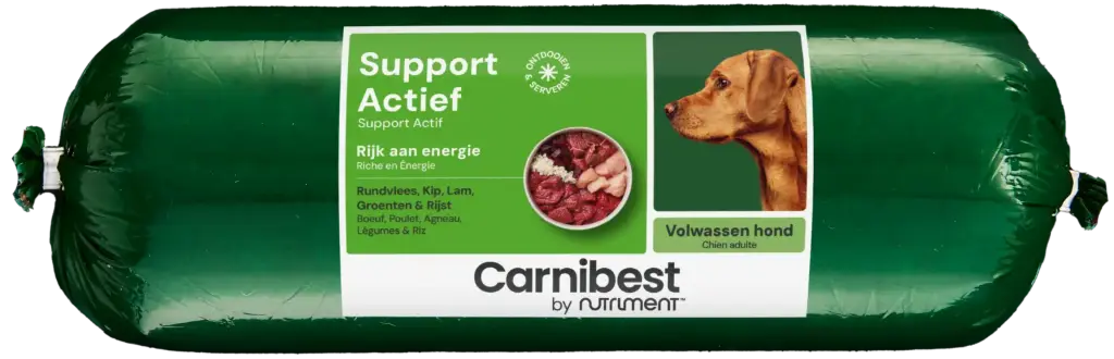 Carnibest : Support Actief - 500 g 