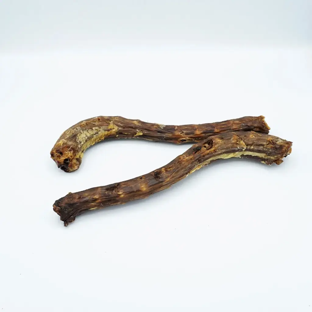 Happy Tails : Kalkoennekken