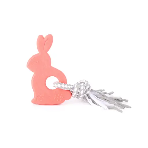 [4DC0270263] Zippy Paws : Pasen : Theetherz Bonnie the Bunny