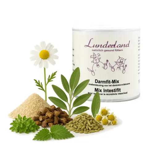 [4DC0340010] Lunderland : Darmfit-Mix