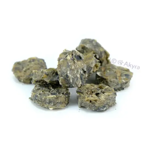 [4DC0390018] Akyra : Kabeljauwhuid Munten