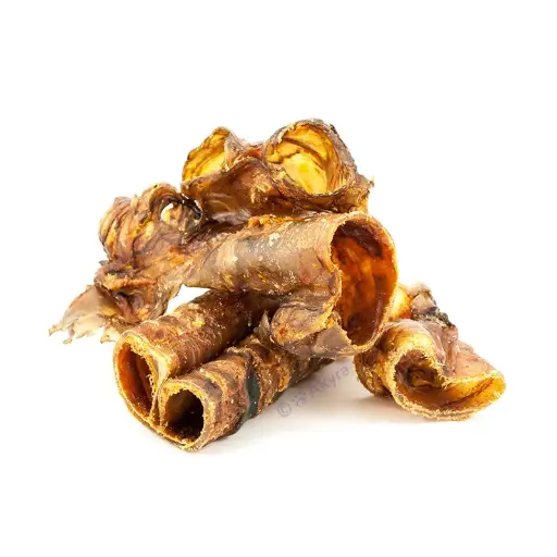 [4DC0390070] Akyra : Paardenluchtpijp 