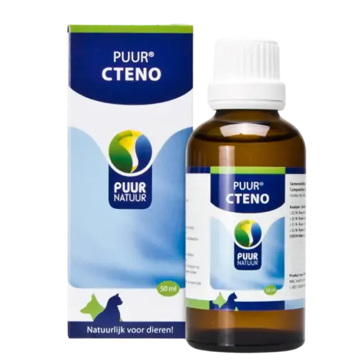 [4DC0420034] Puur : Cteno