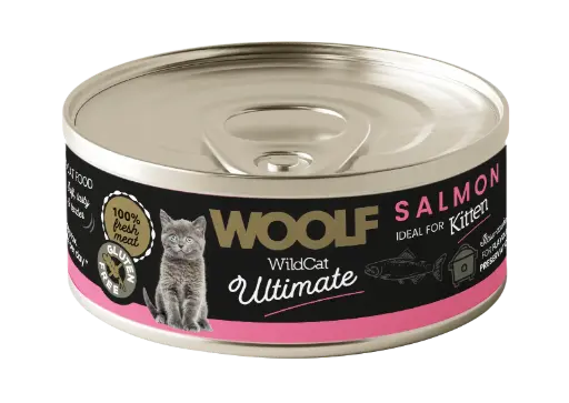 [4DC0050080] Woolf Wildcat : Ultimate Canned Catfood - Salmon - Kitten