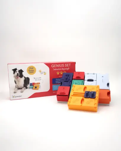 [4DC0450004] Pawzler : Genius Set