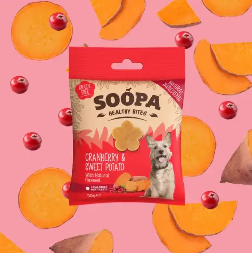 [4DC0470013] Soopa : Healthy Bites : Cranberry & Sweet Potato