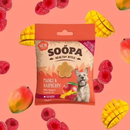 [4DC0470019] Soopa : Healthy Bites : Mango & Raspberry