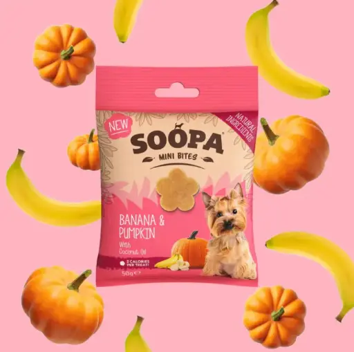 [4DC0470026] Soopa : Mini Healthy Bites : Banana & Pumpkin