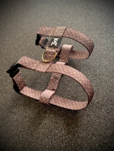 Skull Gear : Designer H-Tuig - Deluxe Gold