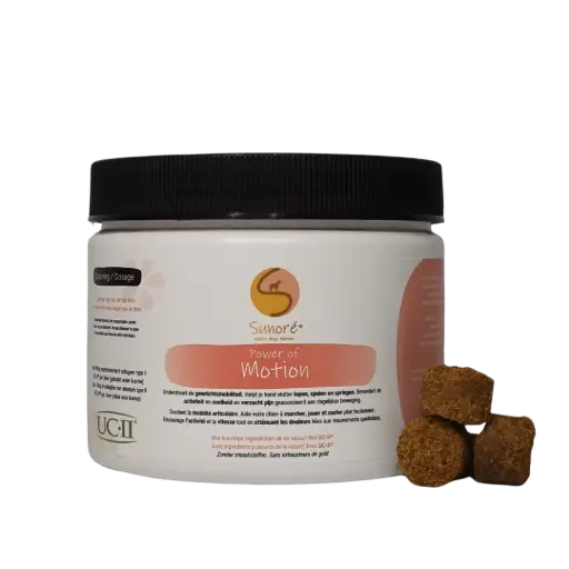 [4DC0570001] Sunoré : Power of Motion