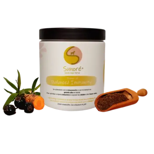 [4DC0570002] Sunoré : Power of Balanced Immunity