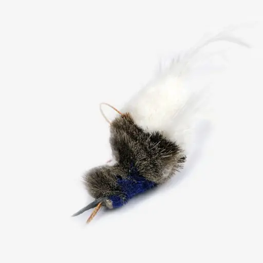 [4DC0580001] Tabby Tijger : Azuurmeesje