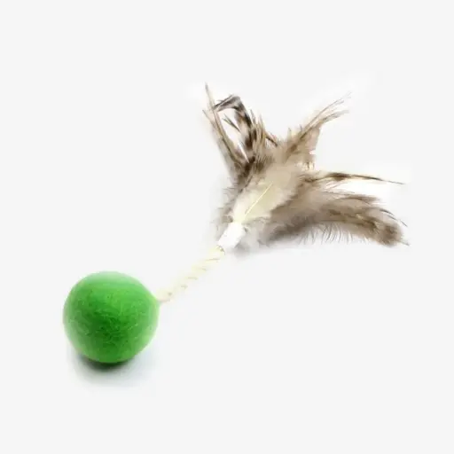 [4DC0580003] Tabby Tijger : Bommetje