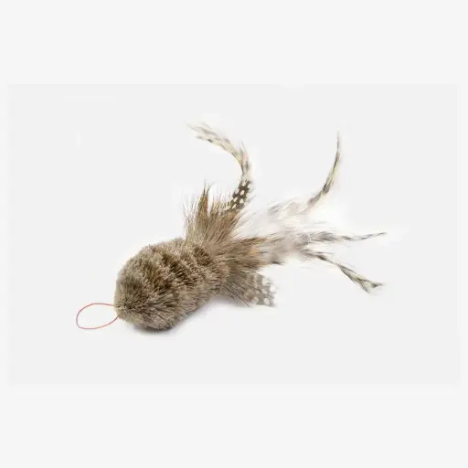 [4DC0580011] Tabby Tijger : Donderkopje