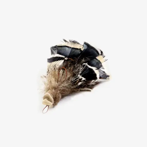 [4DC0580019] Tabby Tijger : Gouden Arend