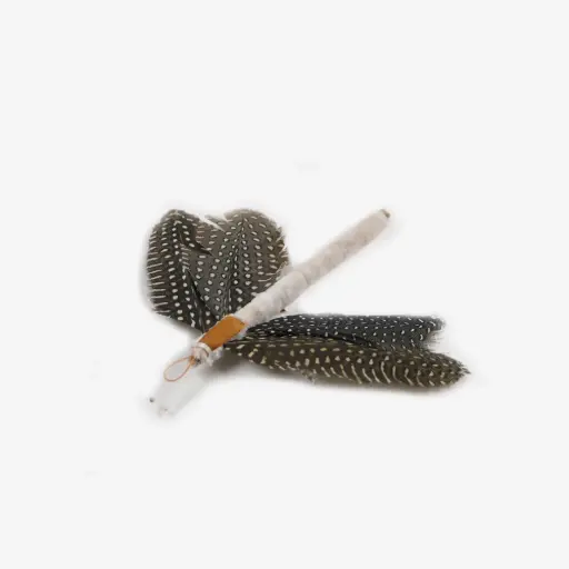 [4DC0580028] Tabby Tijger : Juffer