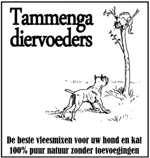 [4DC0590067] Tammenga : Wildmix - GV