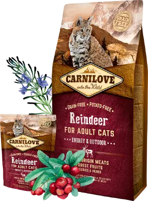 Carnilove Cat : Reindeer Energy/Outdoor 