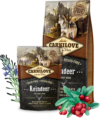 Carnilove Dog : Brok - Reindeer