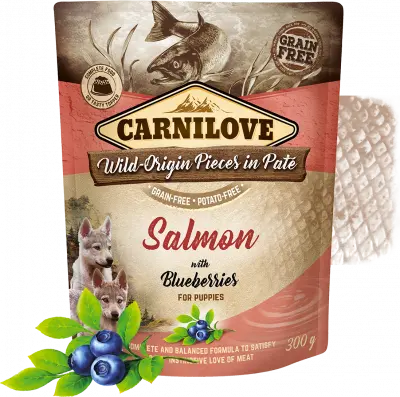 [4DC0640057] Carnilove Dog : Pouch - Salmon with Blueberries for Puppies