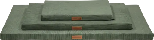 Animal Boulevard : Benchmatras 