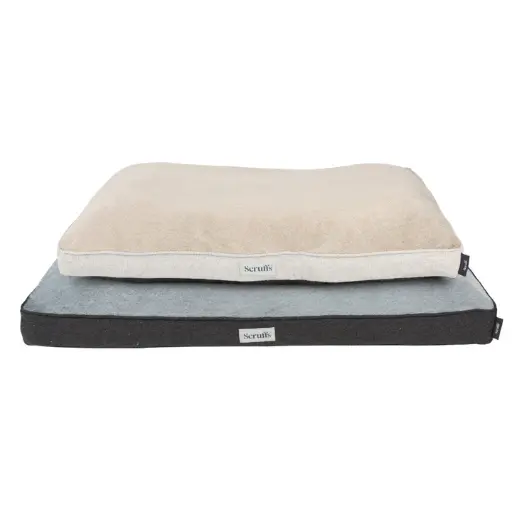 Scruffs : Harvard Memory Foam Orthopedisch Kussen