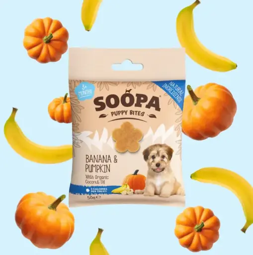 [4DC0470034] Soopa : Healthy Bites : Banana & Pumpkin - Puppy