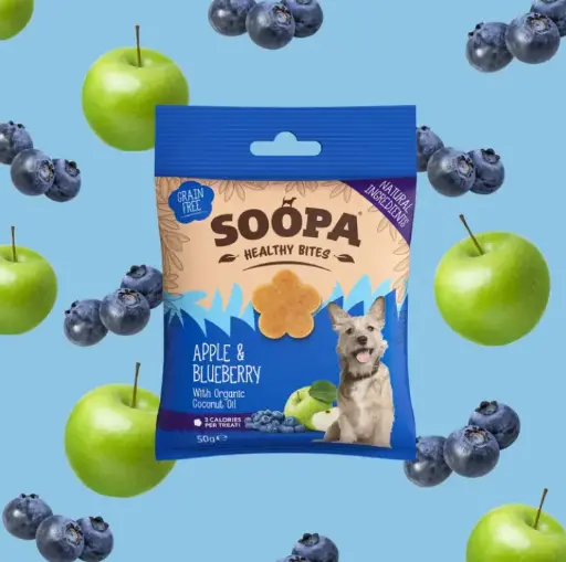 [4DC0470033] Soopa : Healthy Bites : Apple & Blueberry