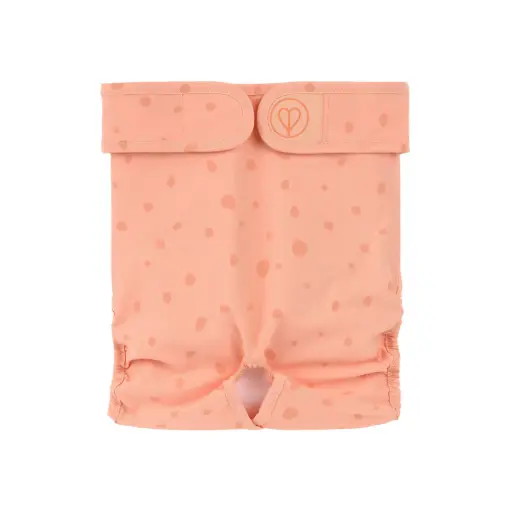 Palopa : Dog Diaper