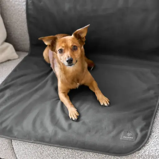 Palopa : Dog Protection Mat Benti