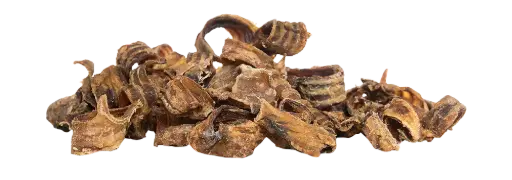 [4DC0310144] KIVO : Runderluchtpijp Gezaagd