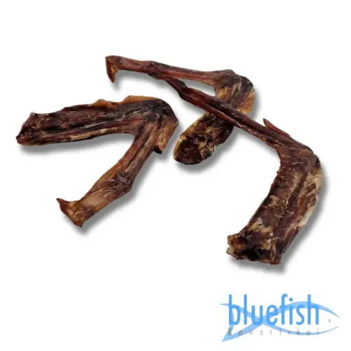 Bluefish : Eendenvleugels (Entenflügel)