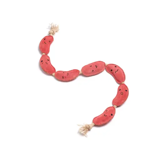 [4DC0220094] Green & Wilds : Sizzle Sisters