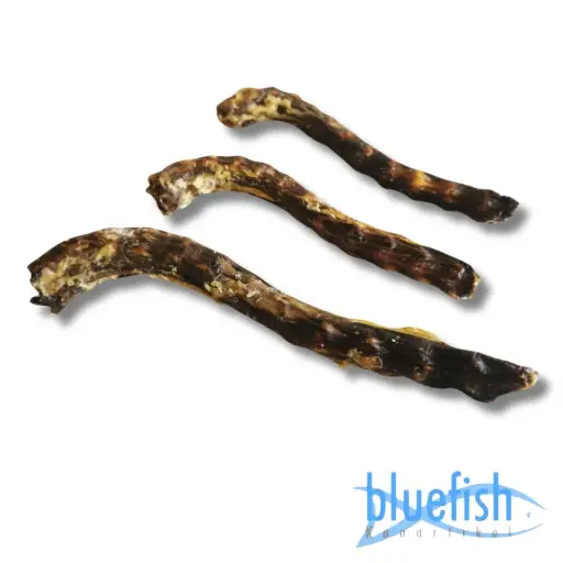[4DC0110013] Bluefish : Ganzennekken (Gänsehälse)
