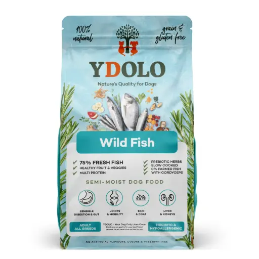 YDOLO : Healthy & Pure Wild Fish