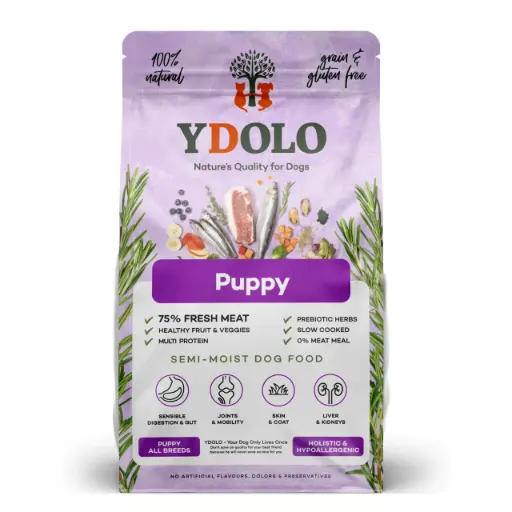 YDOLO : Healthy & Pure Puppy
