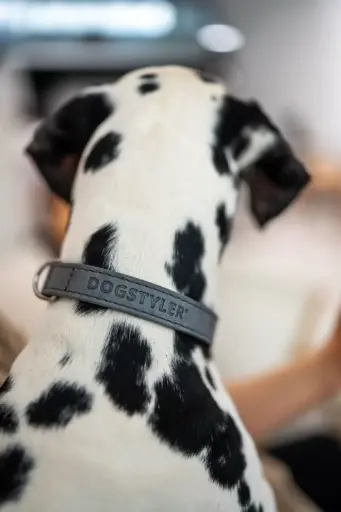 DOGSTYLER: Leather Collar Luis - Classic
